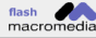 Scarica il Plug-In FLASH